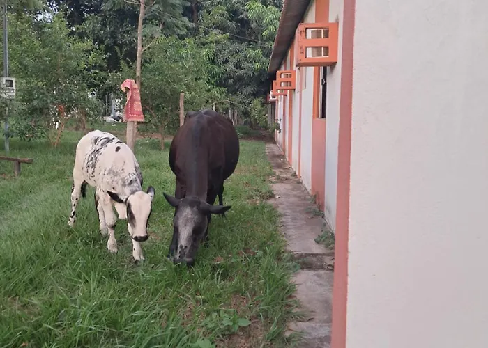 Chácara Pousada Sagui